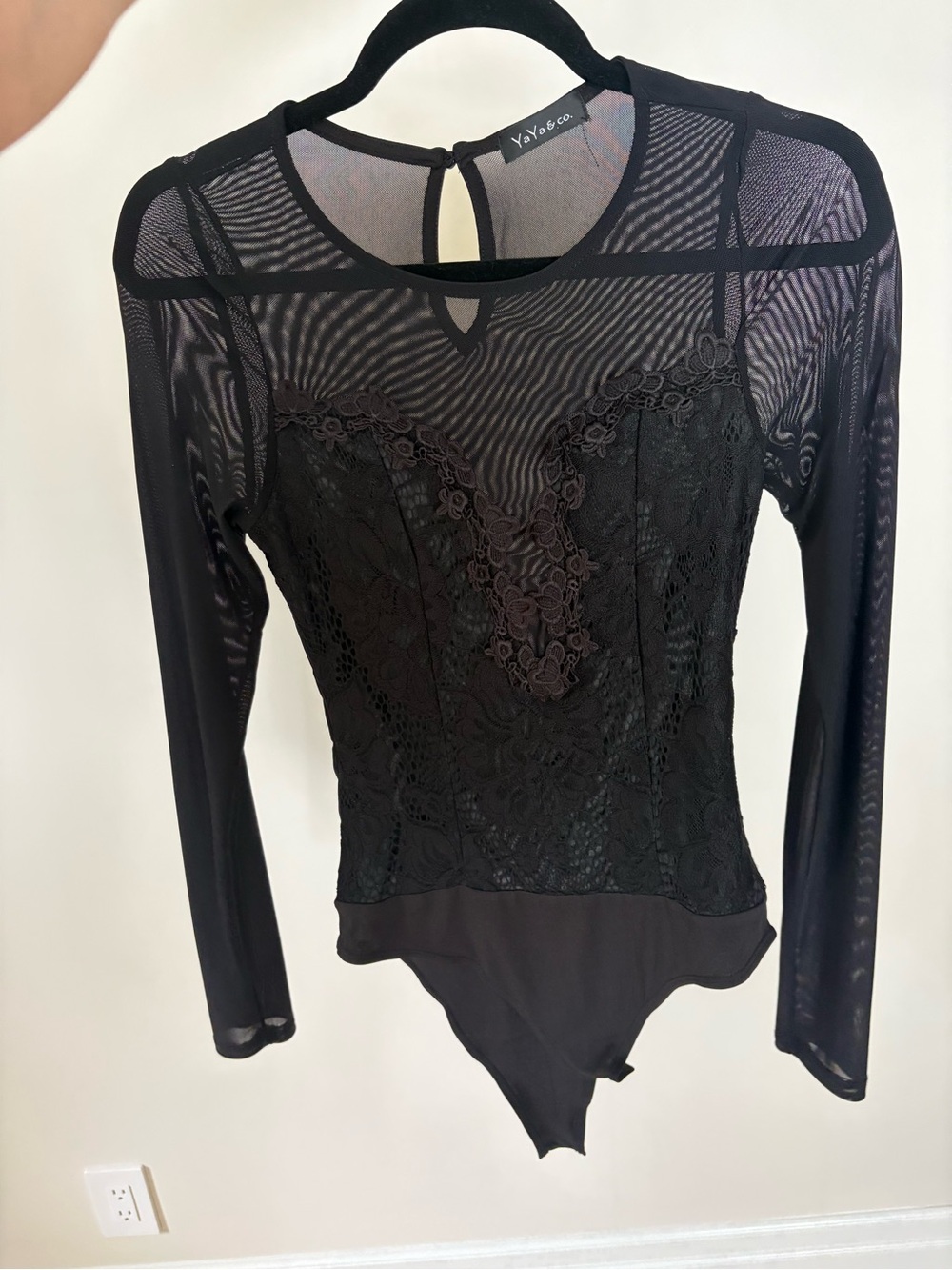Black Lace Mesh Long-Sleeve Bodysuit